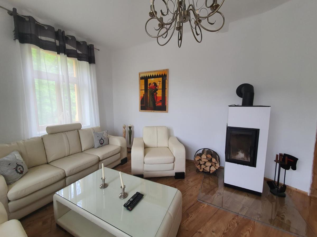Apartment Domizil Adler Dresden